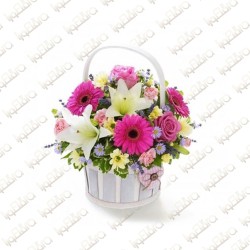 Daisy Flowery Arrangement