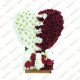 QATAR's HEART ARRANGEMENT