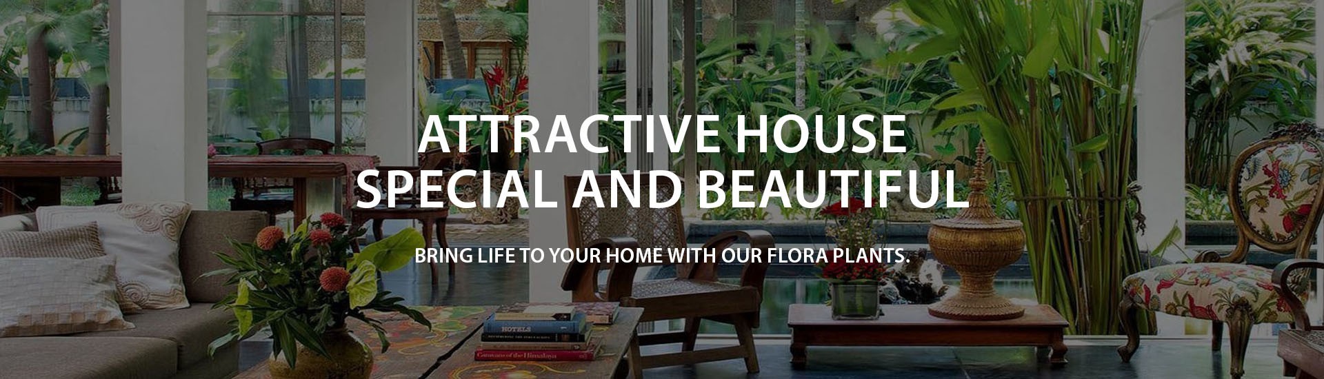 Attractive House With Vase Arrangement